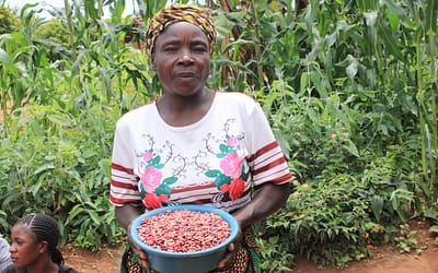 UNGWERU DISTRIBUTES BEAN SEEDS IN A SEED MULTIPLICATION INITIATIVE