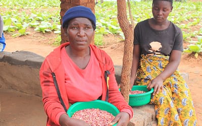 Ungweru organisation is commited to empowering women and girls