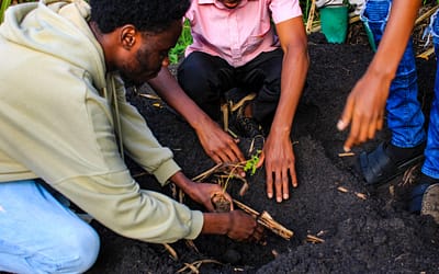 Ungweru Organisation Celebrates World Earth Day with Tree Planting, Drama, and Eco-Friendly Art